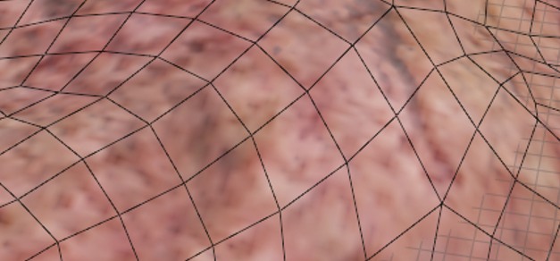 images//b253017923caa13f8e8ee3e410c61ead.PixPin_2025-09-15_10-24-10.png